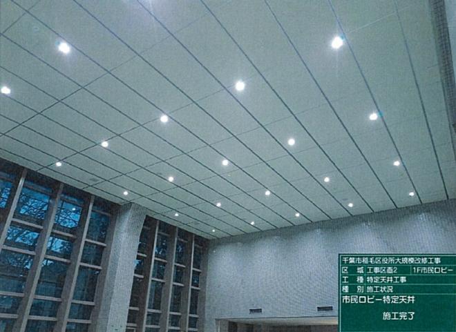 特定天井2