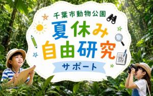 自由研究サポート2026