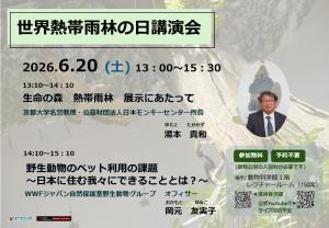 世界熱帯雨林の日詳細