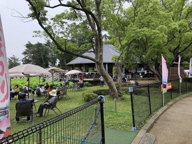 0618大賀ハスまつり