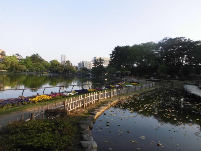 蓮華亭とハスの葉