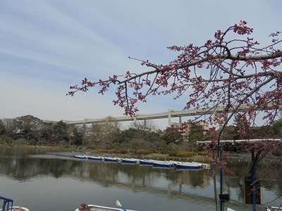 H290324ボートわき