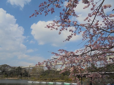 H290329ボートわき