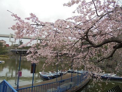 H290331ボートわき