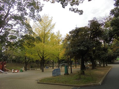 h281026遊具イチョウ