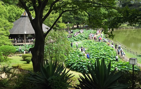 荒木山からH280625