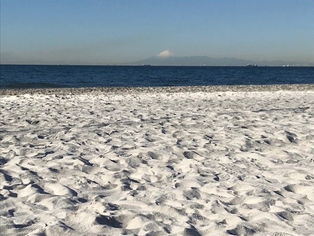 白砂の浜