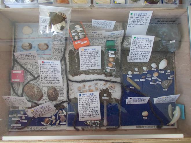 貝のジオラマ