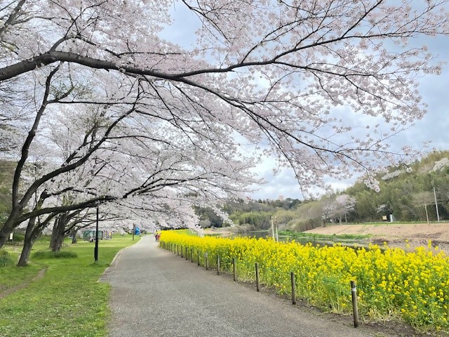 0409ohanmihirobazentai