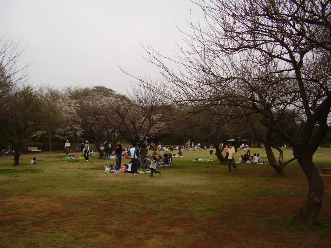 ふれあいの広場