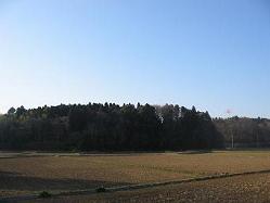 東千葉近郊緑地保全区域