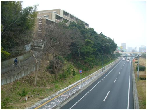 登戸緑町緑地保全地区