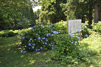 展望台付近の様子