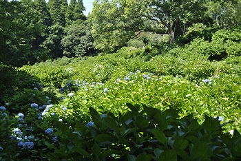 展望台付近の様子