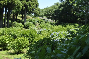 展望台方向の様子
