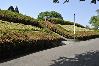 展望台下の様子