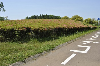 サイクリングコース