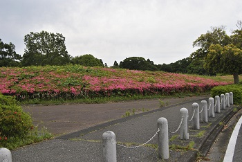 事務所入口付近（第2駐車場へと向かう園路）