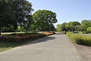 太陽の広場園路