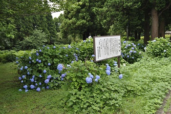 展望台付近の様子