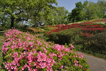 太陽の広場（第1駐車場側）