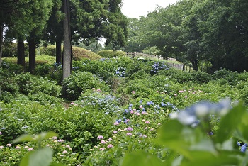 展望台付近の様子