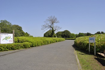 太陽の広場園路