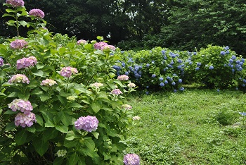 展望台付近の様子