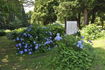 展望台付近の様子