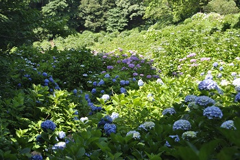 展望台付近からの様子