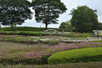 昭和の森入り口