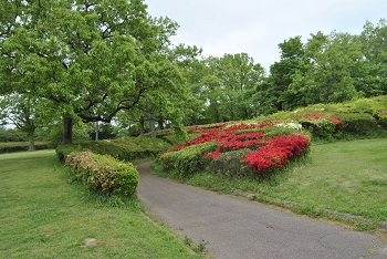 サイクリングコース