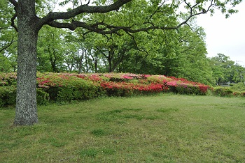 太陽の広場（第1駐車場寄り）
