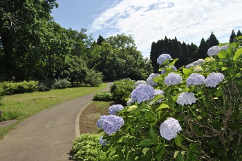 サイクリングコース