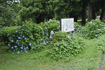 展望台付近の様子