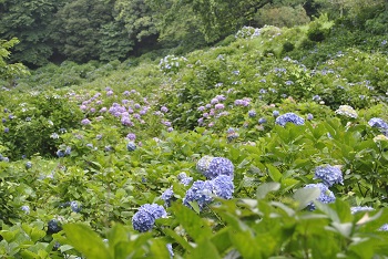 展望台付近からの様子
