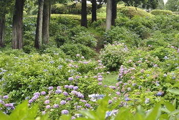 展望台付近の様子