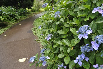 サイクリングコースからの様子