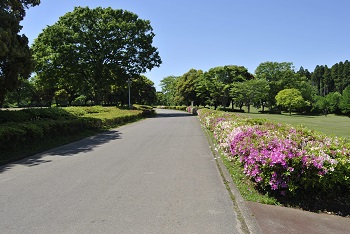 太陽の広場園路