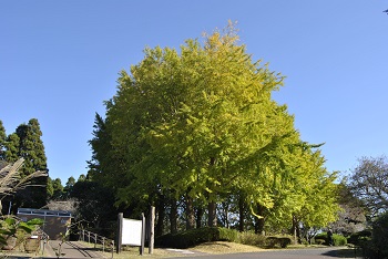 お花見広場手前
