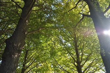 お花見広場手前