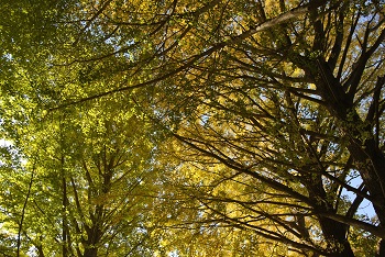 お花見広場手前