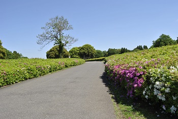 売店付近の様子