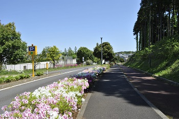 第2駐車場付近の様子