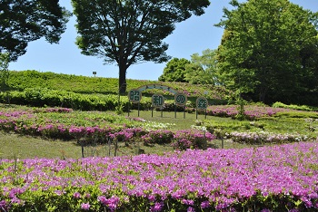 昭和の森入り口