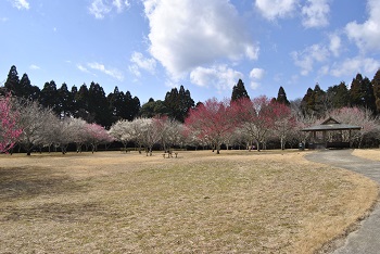 四阿付近の様子