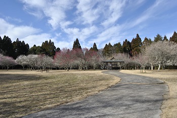 四阿付近の様子