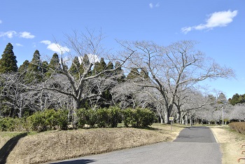 お花見広場入り口