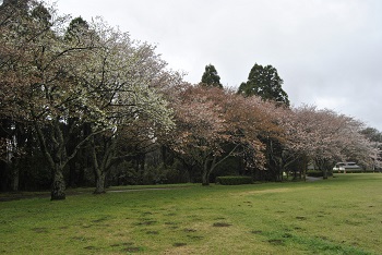 太陽の広場の東側
