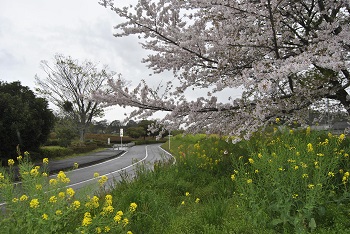 第2駐車場へと向かう園路